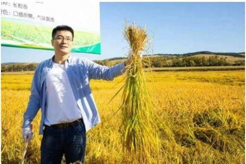 斑马会员打造农产品销售链条,全力赋能公益助农