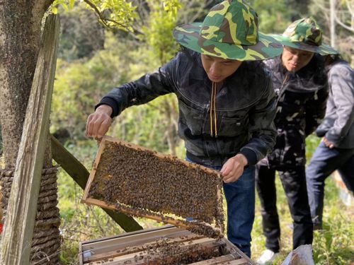 她,2000元创业到6000多万元销售,为农村提供就业逾万,荣膺国奖 赵海伶