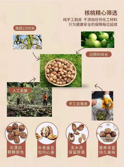 网红爆款 琥珀核桃 ,限时秒杀19.9