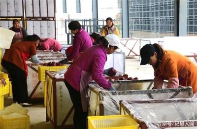 天水麦积区:首家青年创业就业联盟示范基地挂牌