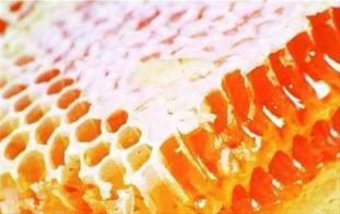 青岛进口预包装食品代理清关公司_商务服务_世界工厂网
