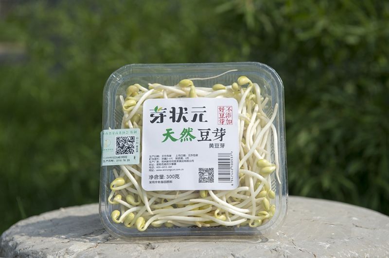 “我要发芽”活动燃爆大河报小记者群